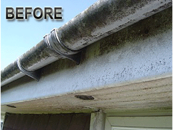 See the reach and wash in action with before and after cleaning pics. We'll have your gutters in Maidenhead gleaming like new again